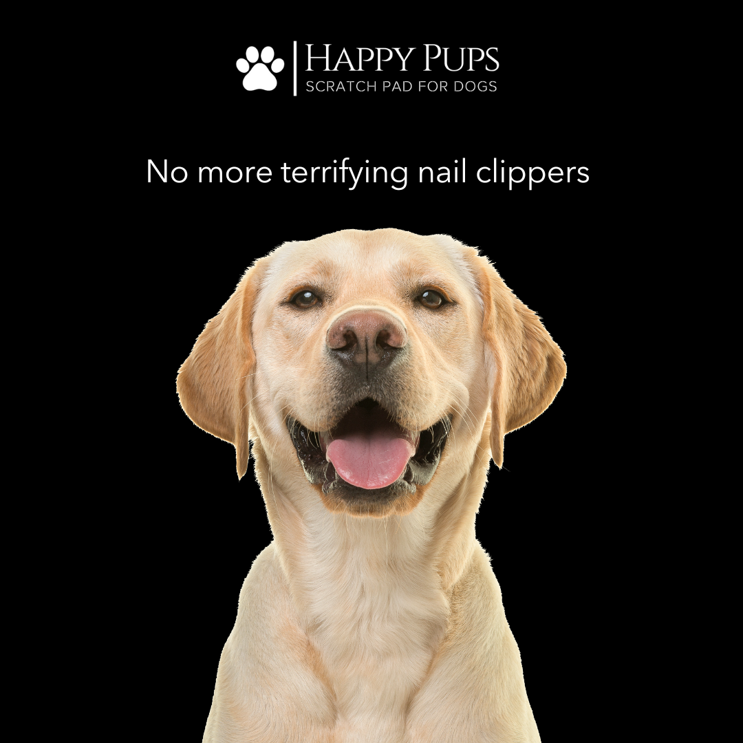 Scratch Pad for Dogs