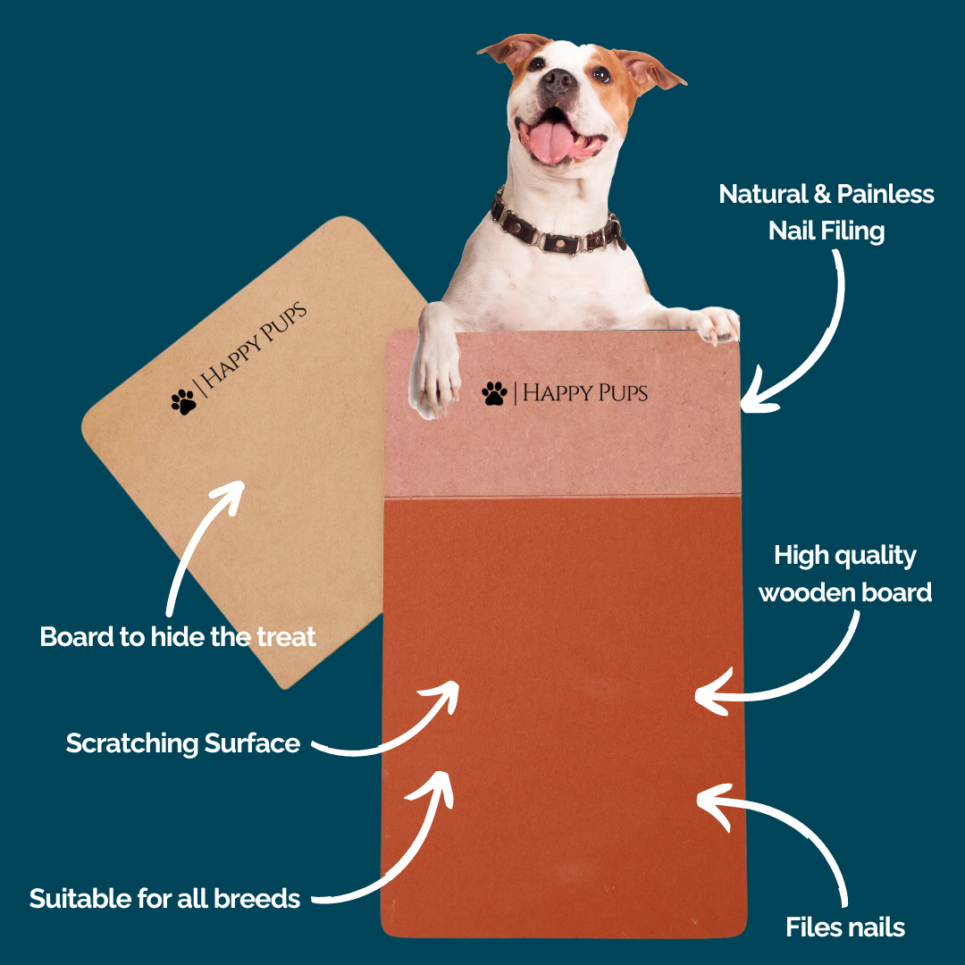 Scratch Pad for Dogs